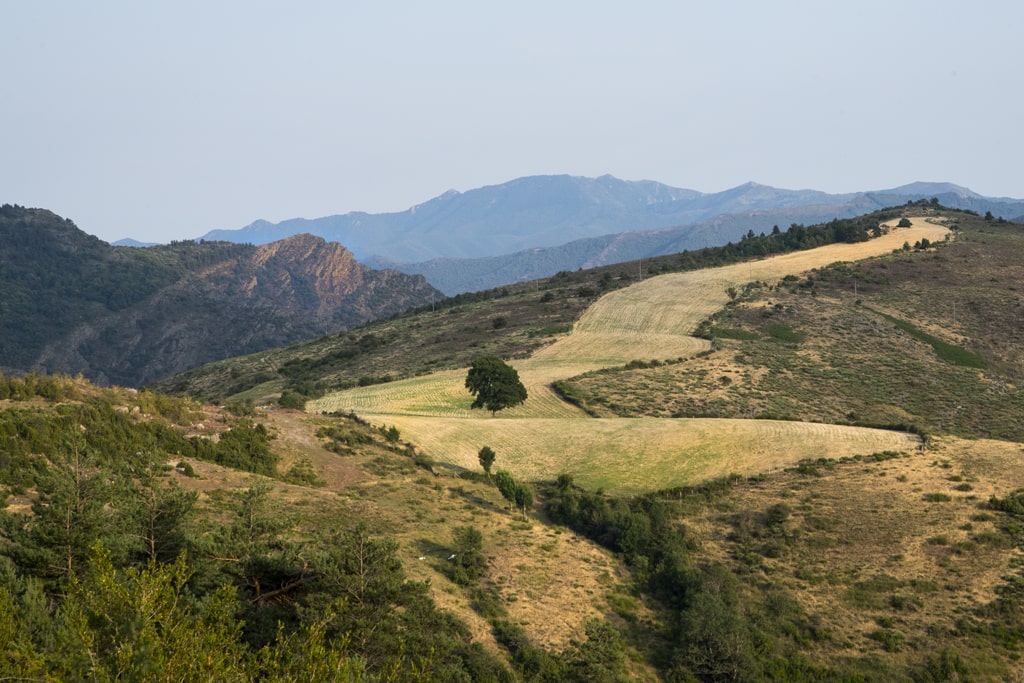 Corniches-des-Cévennes-Vezon