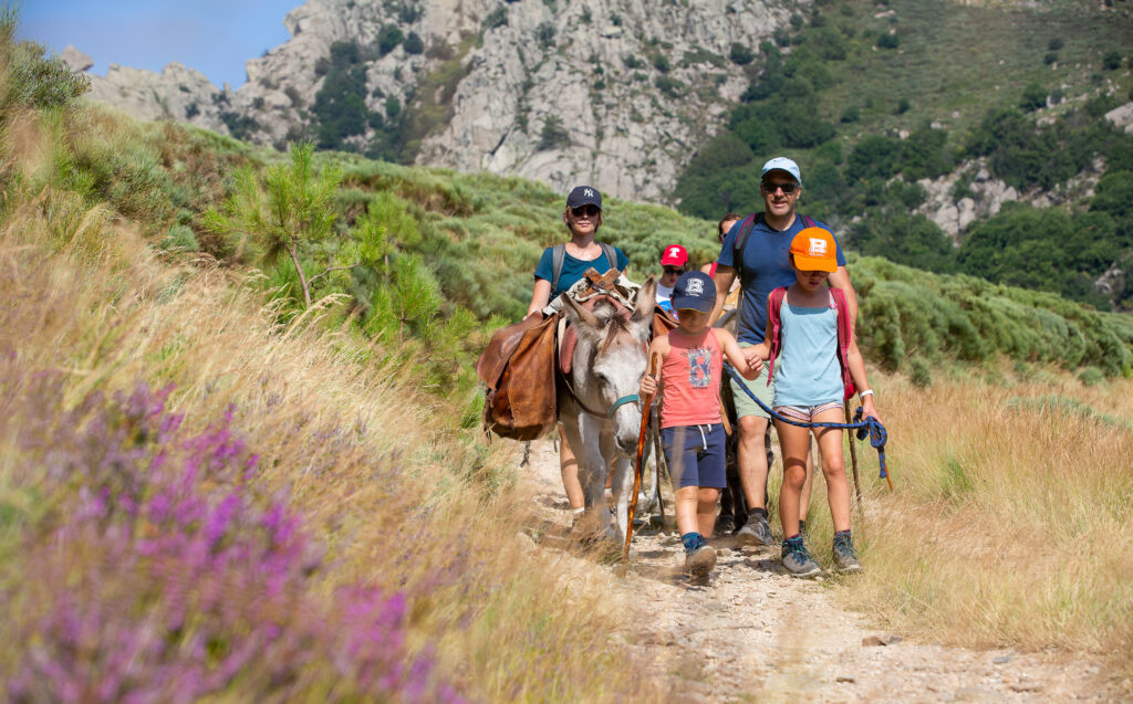 Balade avec un âne, activité en famille en Cévennes