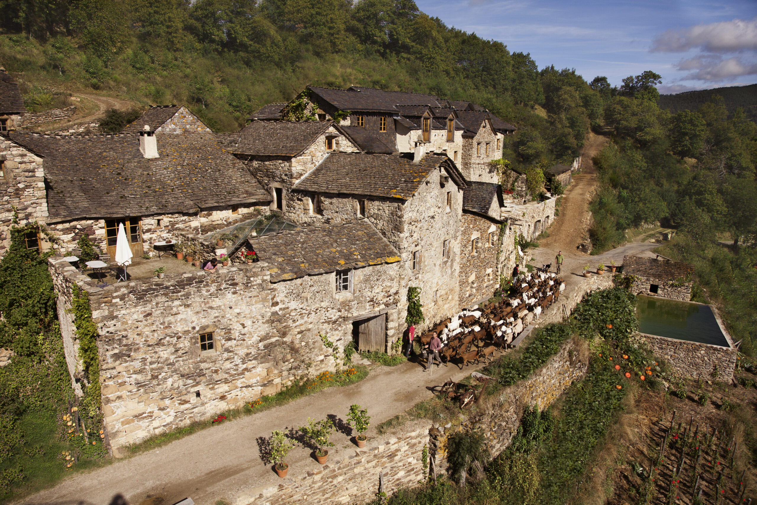 La Ferme des Cévennes, activité à faire en famille en Cévennes