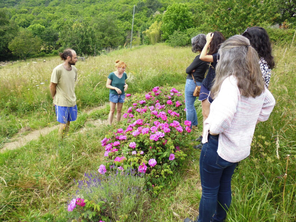 Visite de ferme les Secrets des Cévennes