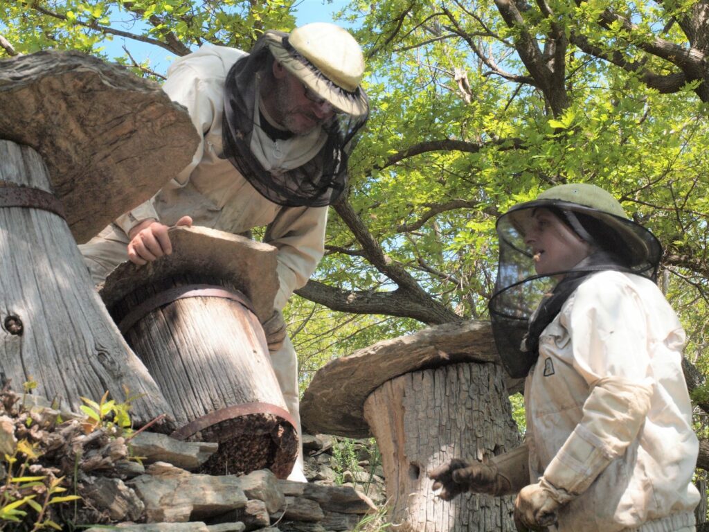 Visite de ferme l'Arbre aux abeilles