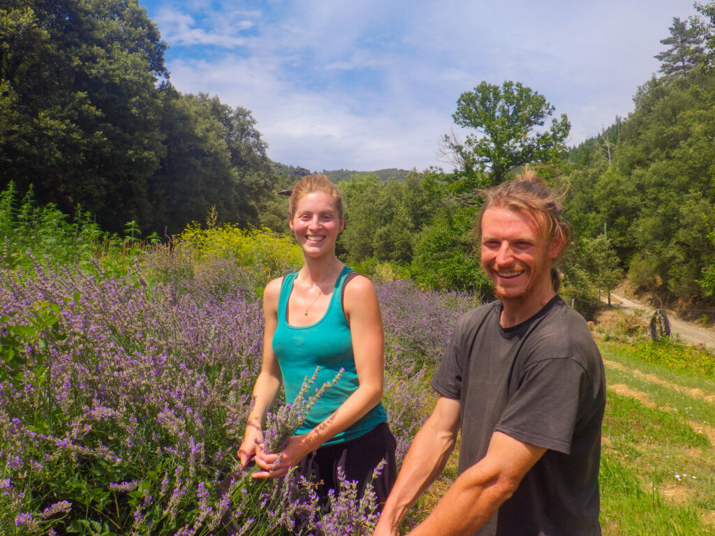 visite de ferme les Plantes des Cévennes