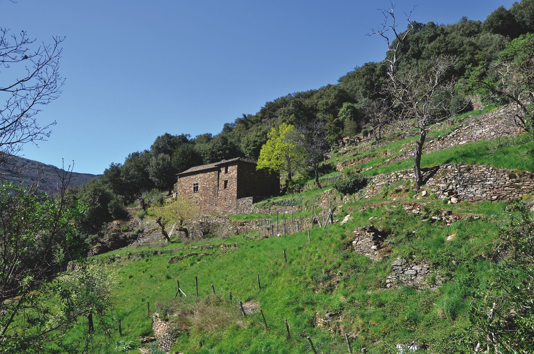 Randonnée famille Cévennes Sainte Croix Vallée Française 