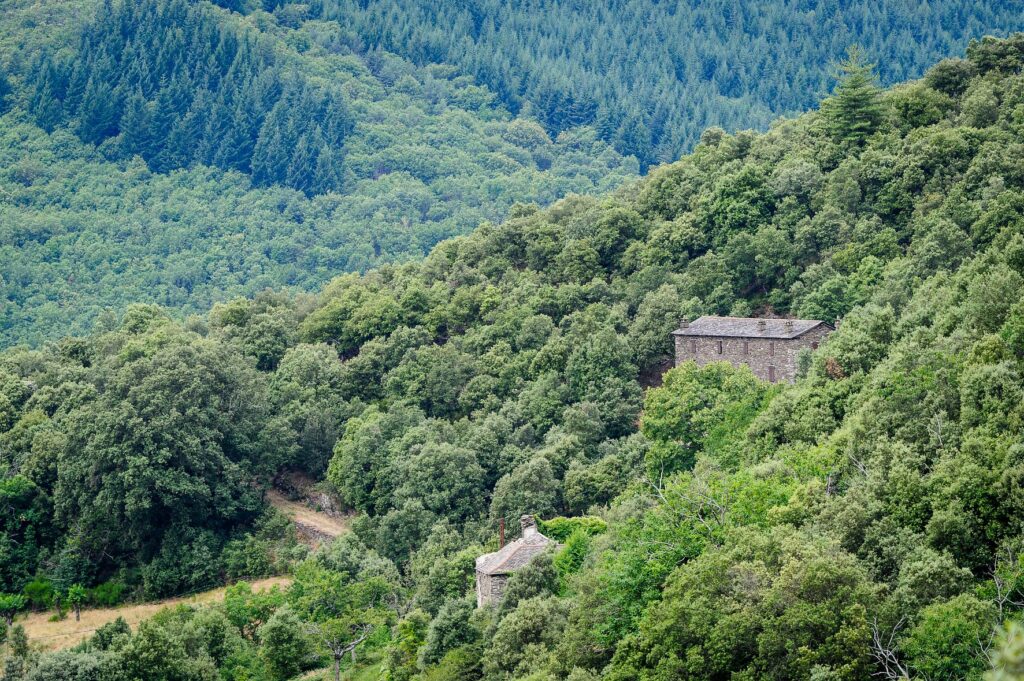 Randonnée famille Cévennes Barre des Cévennes