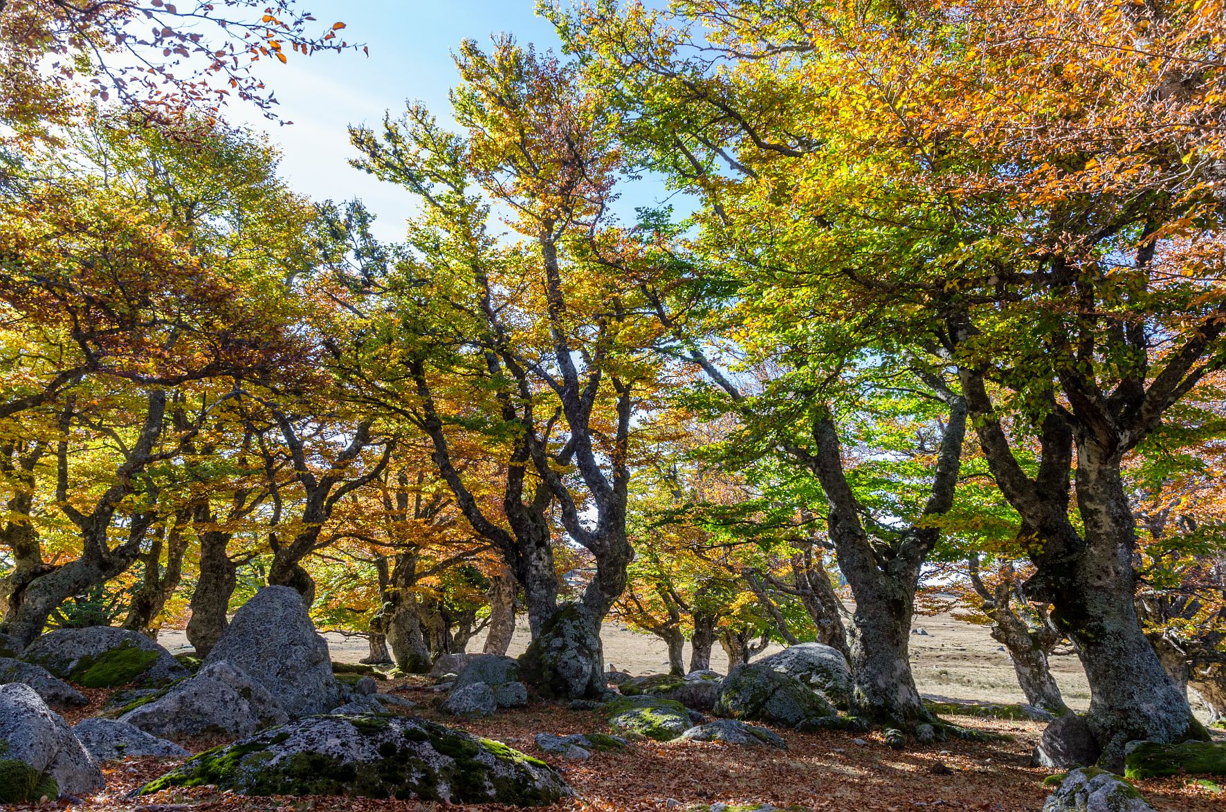 Randonnée famille Cévennes Mas de la barque