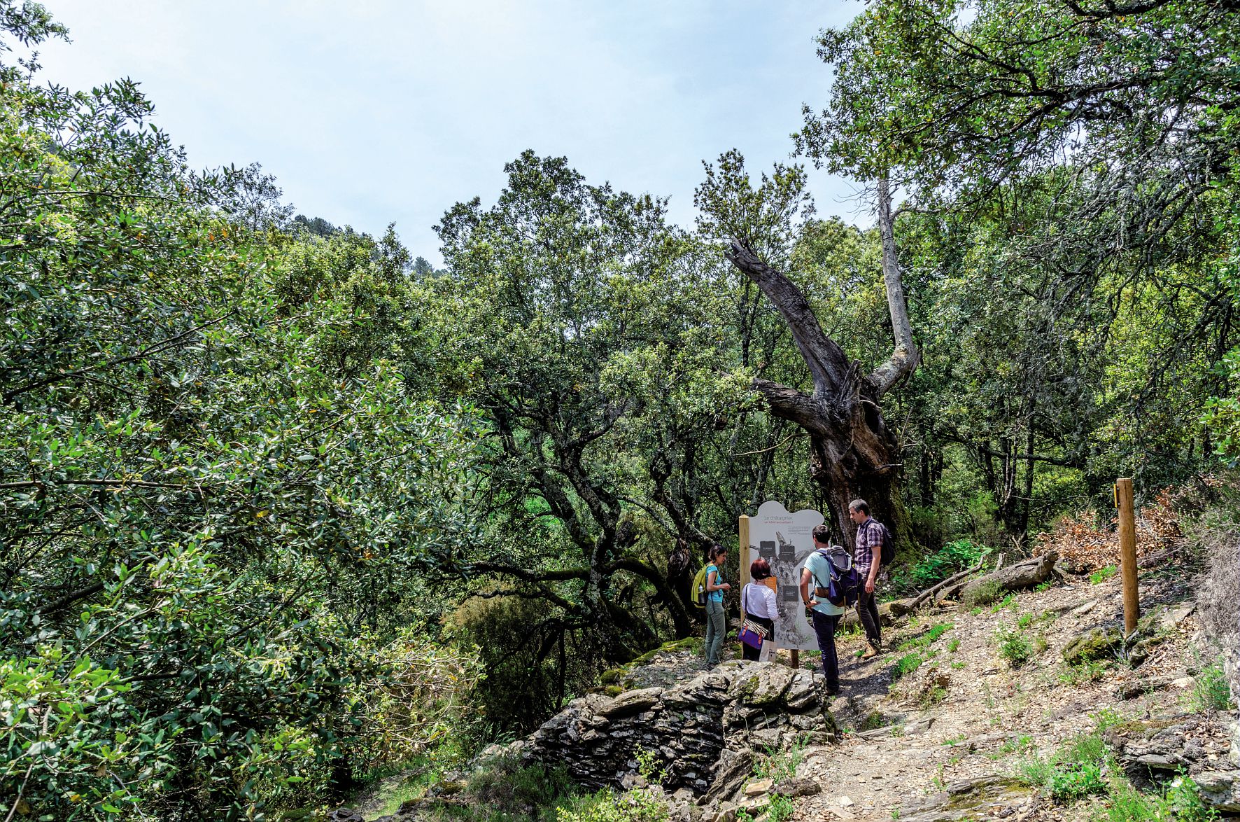 Randonnée famille Cévennes Collet de Dèze