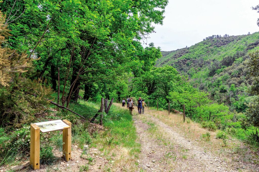 Randonnée famille Cévennes Saint Privat de Vallongue