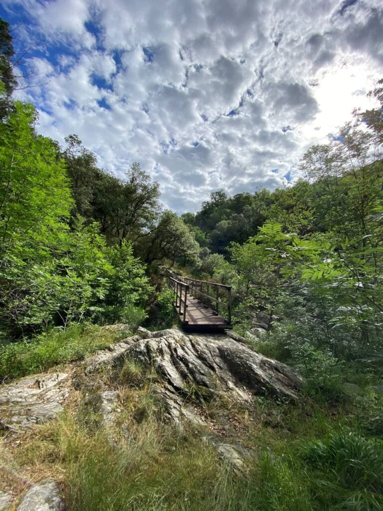 Randonnée famille Cévennes Saint Privat de Vallongue