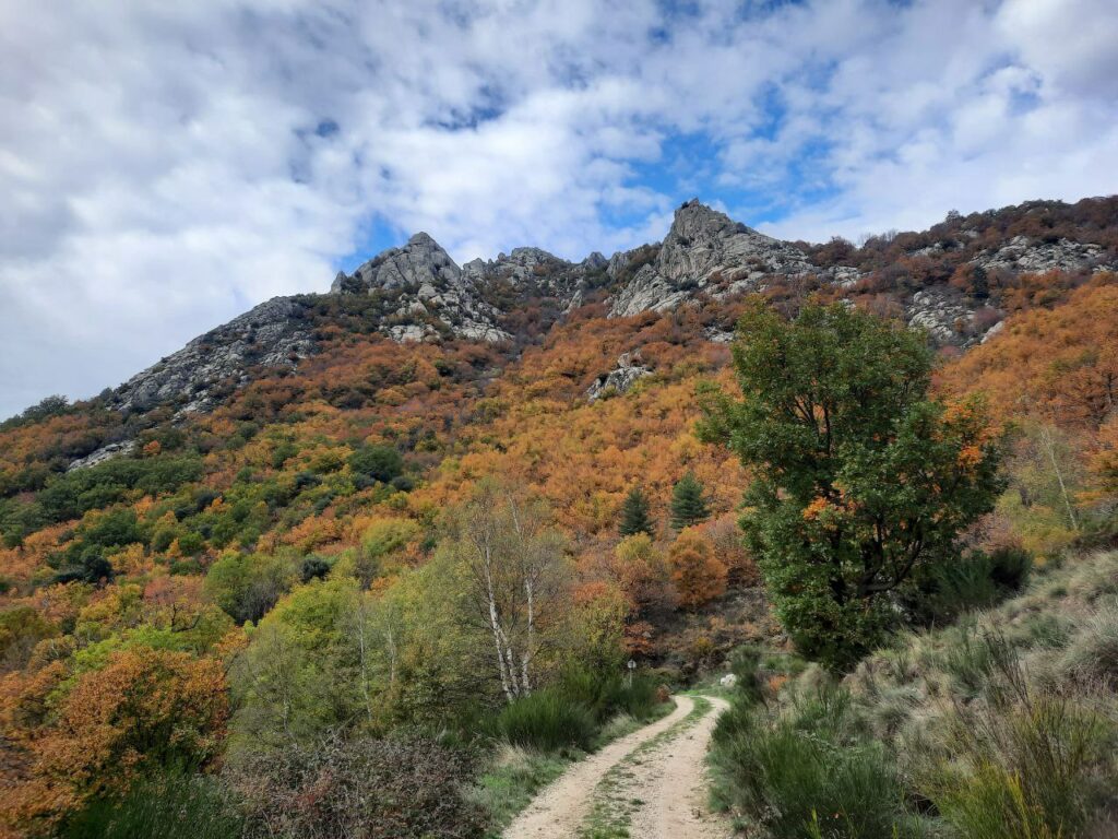 Sentier du Chastelas en automne