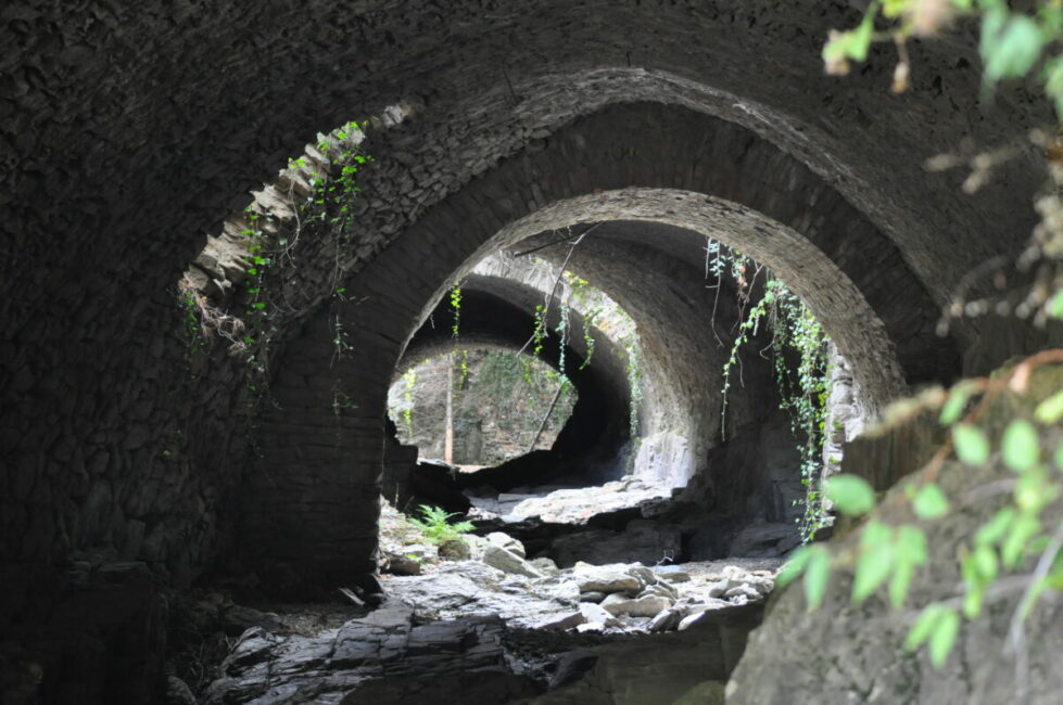 Image 0 : VISITE DE "LA MINE AU BOIS D'ARGENT"