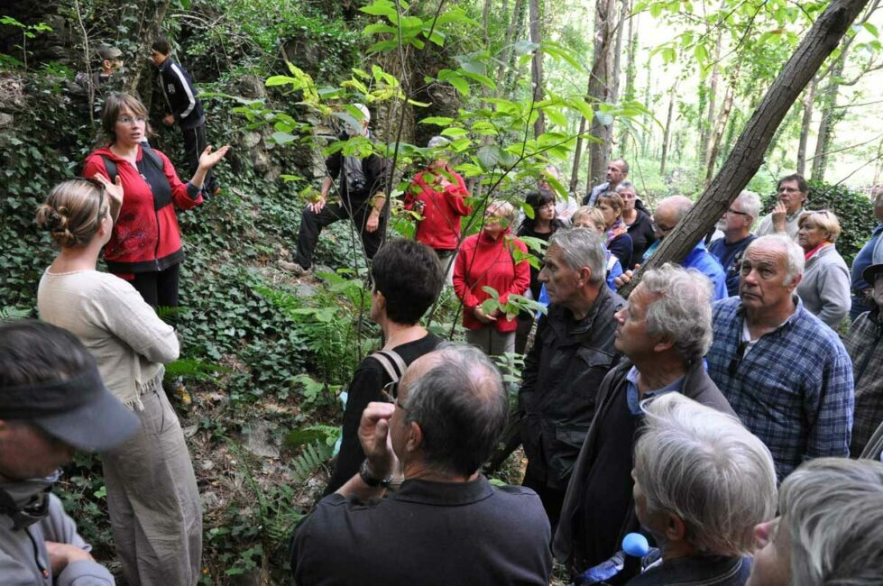 Image 1 : VISITE DE "LA MINE AU BOIS D'ARGENT"