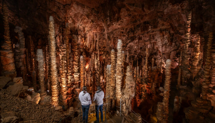 Image 0 : AVEN ARMAND