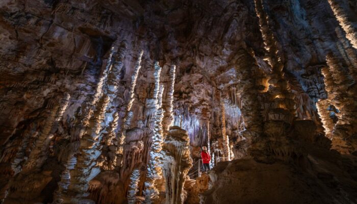 Image 3 : AVEN ARMAND