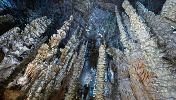 Image 1 : AVEN ARMAND