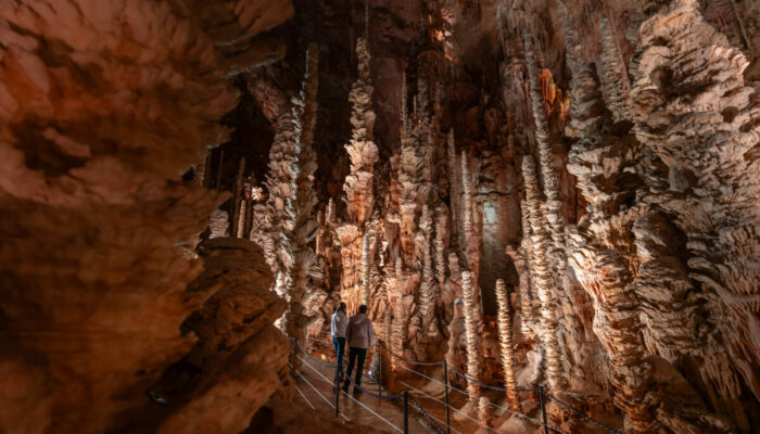 Image 4 : AVEN ARMAND