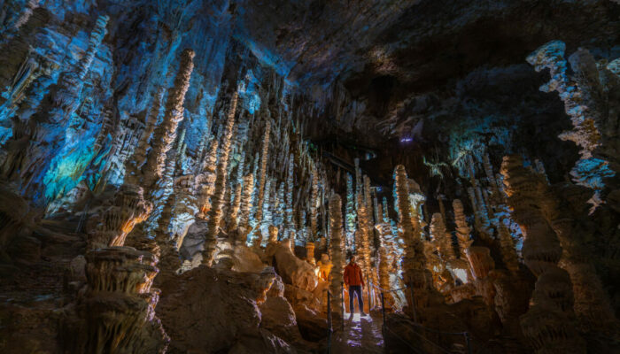 Image 2 : AVEN ARMAND