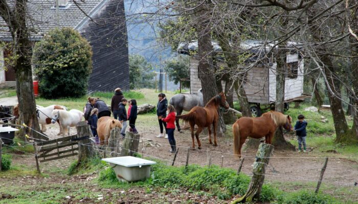 Image 1 : CÉVENNES À CHEVAL