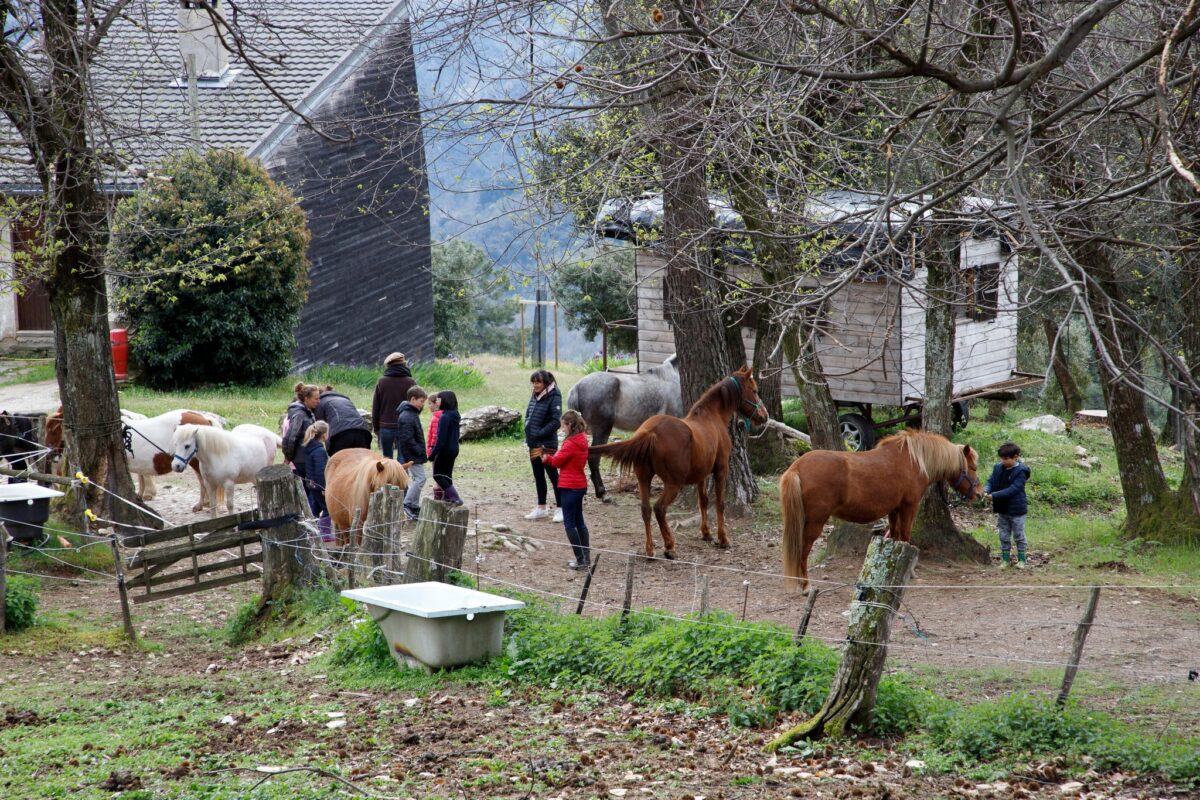 Image 1 : CÉVENNES À CHEVAL
