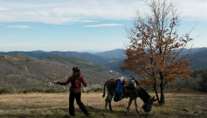Image 4 : CÉVENNES G'RANDOS D'ÂNES