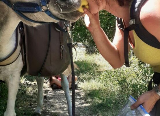Image 3 : CÉVENNES G'RANDOS D'ÂNES