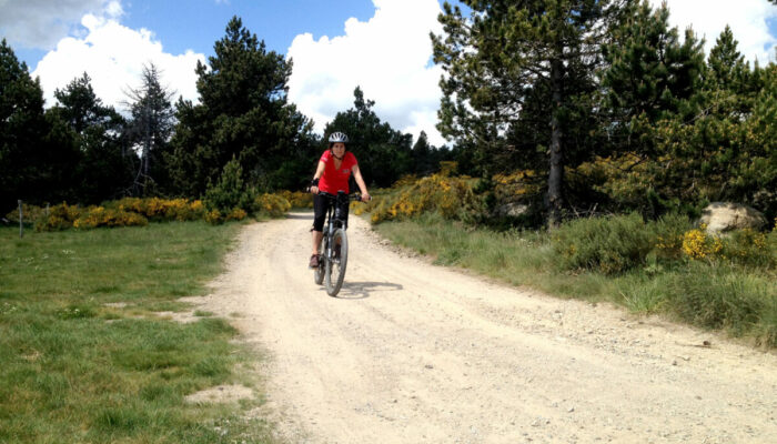 Image 4 : DESTINATION NATURE LE MAS DE LA BARQUE