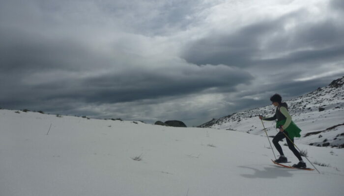 Image 3 : DESTINATION NATURE LE MAS DE LA BARQUE