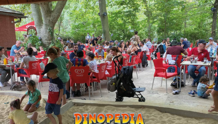 Image 3 : DINOPEDIA PARC