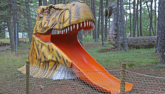 Image 4 : DINOPEDIA PARC