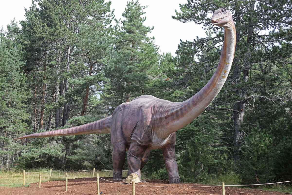 Image 2 : DINOPEDIA PARC