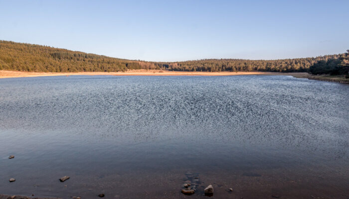 Image 1 : ETANG DE BARANDON