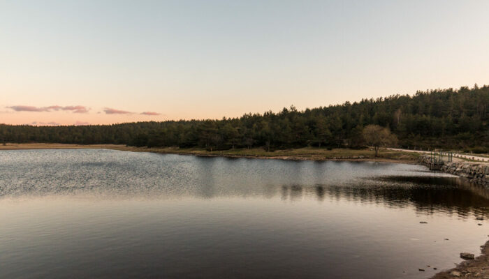 Image 2 : ETANG DE BARANDON