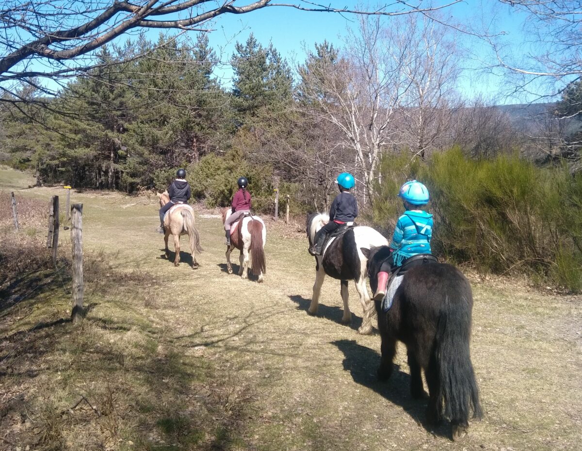 Image 2 : FERME EQUESTRE DES MOURENES