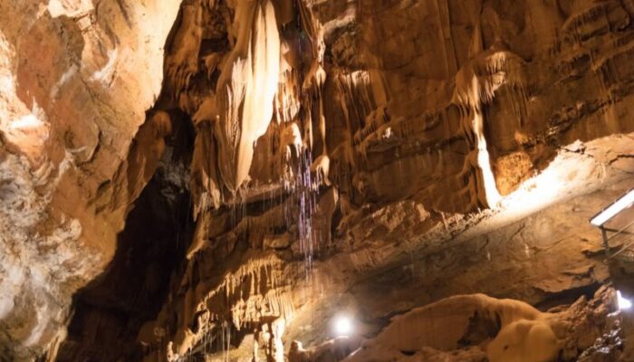 Image 4 : GROTTE DE TRABUC