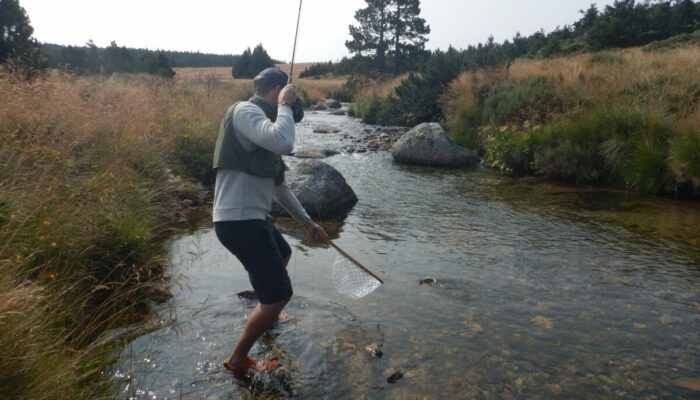 Image 3 : GUIDE DE PECHE ET NATURE MONT LOZERE