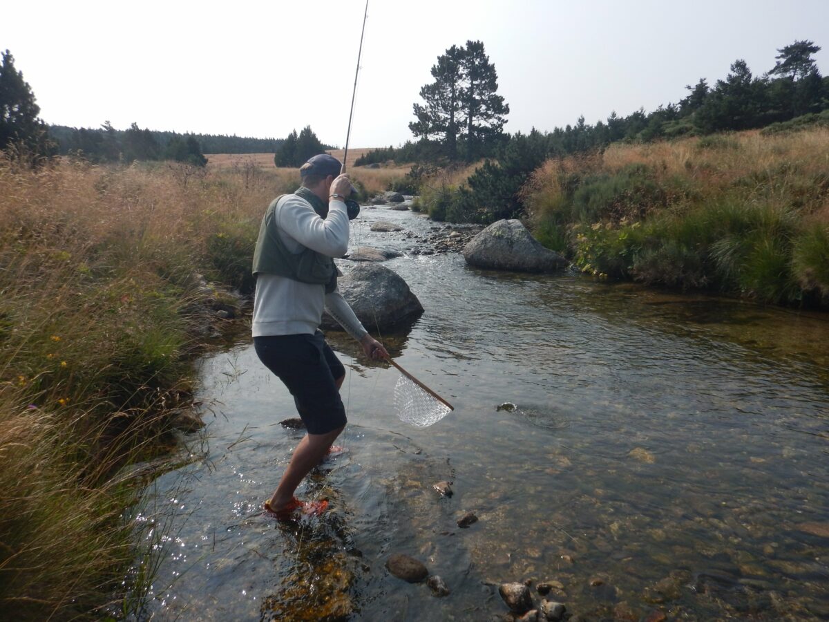 Image 4 : GUIDE DE PECHE ET NATURE MONT LOZERE