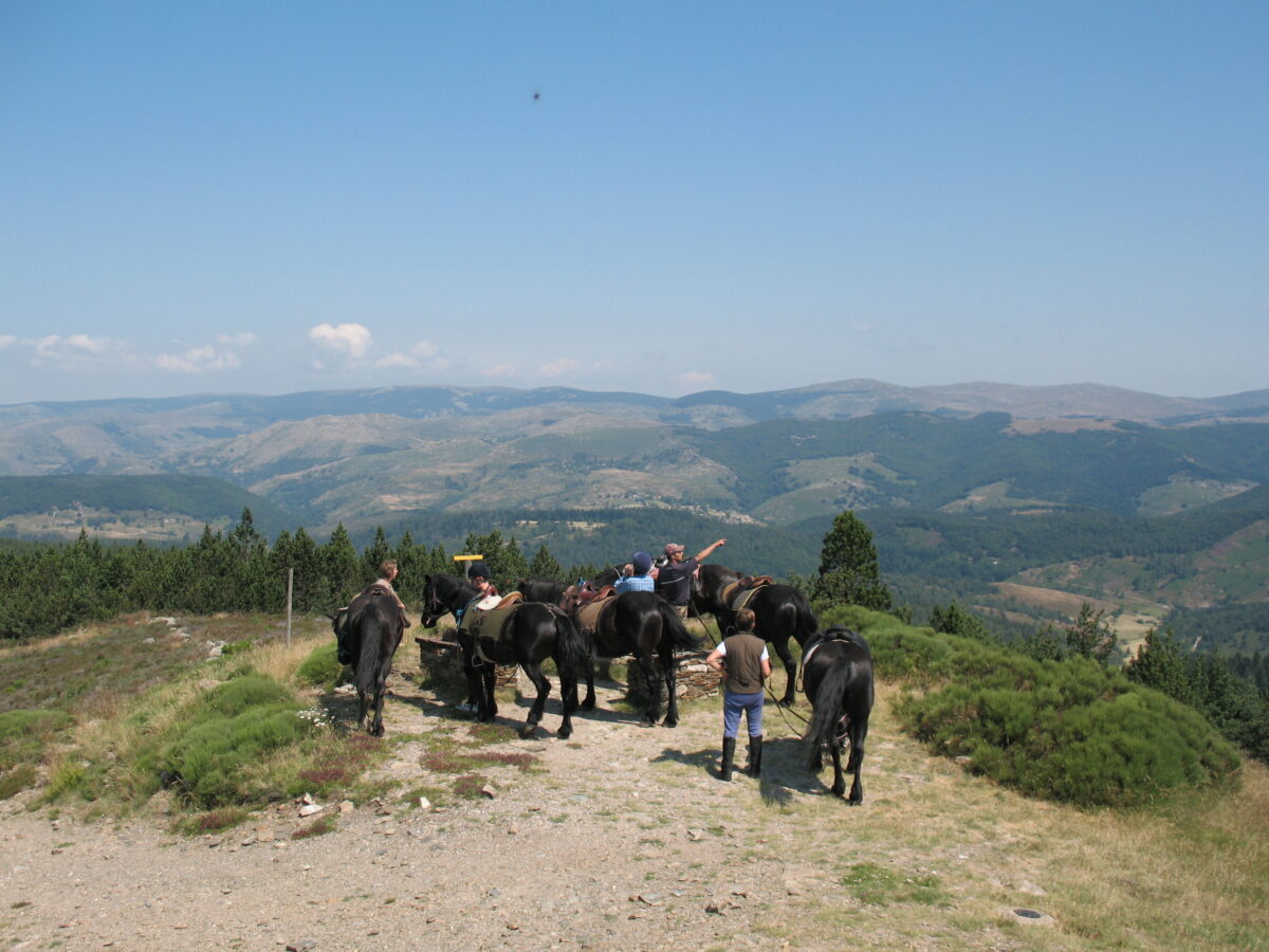 Image 2 : LA CAVALE DU VENTALON