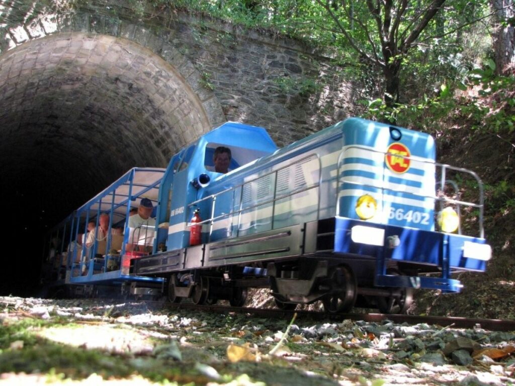 Image 0 : LE TAC : TRAIN DE L'ANDORGE EN CÉVENNES