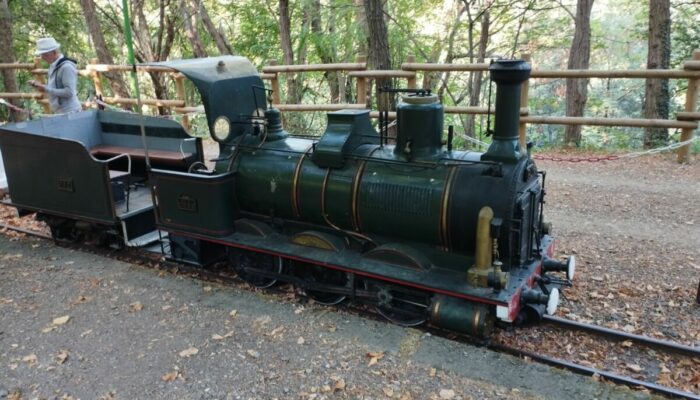 Image 2 : LE TAC : TRAIN DE L'ANDORGE EN CÉVENNES