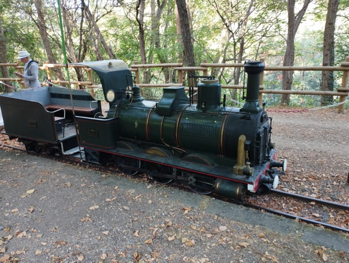 Image 2 : LE TAC : TRAIN DE L'ANDORGE EN CÉVENNES