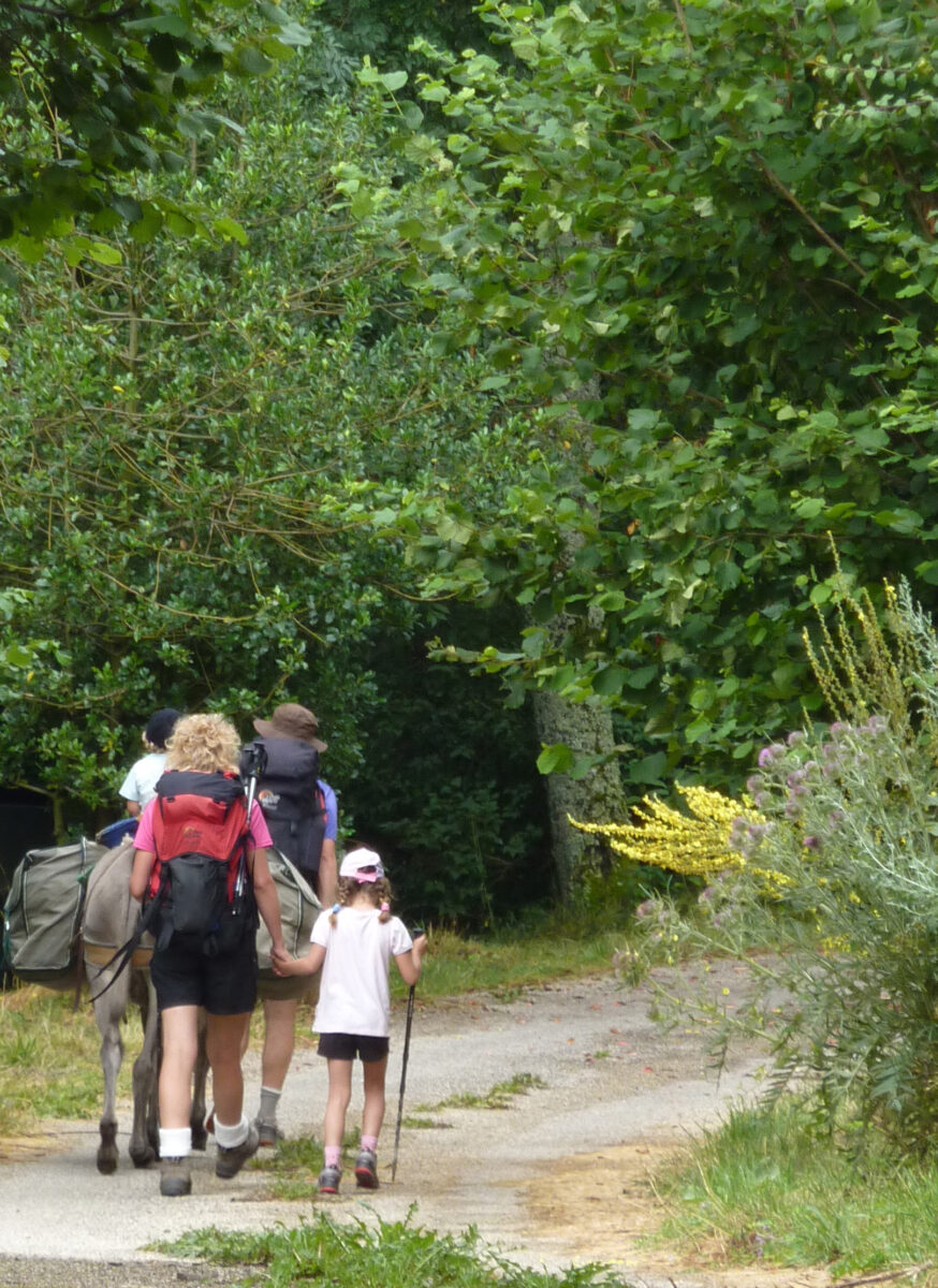 Image 2 : LES ÂNES DE VIELJOUVES
