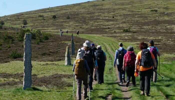 Image 0 : LES CHEMINS FRANCIS