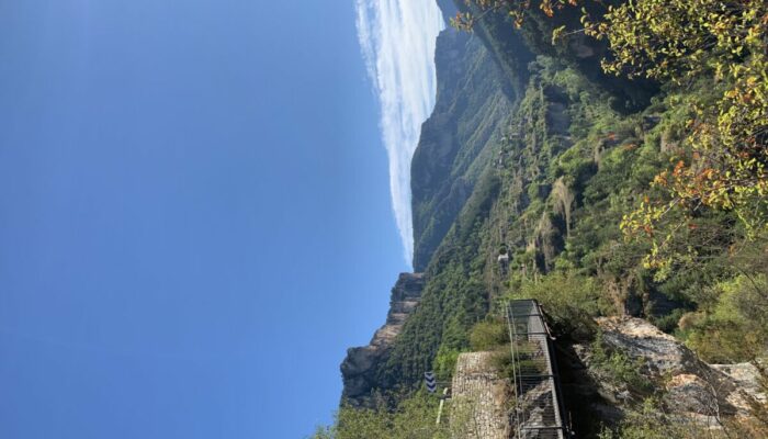 Image 2 : MAISON DES VAUTOURS