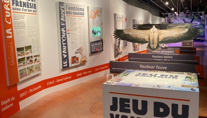 Image 4 : MAISON DES VAUTOURS