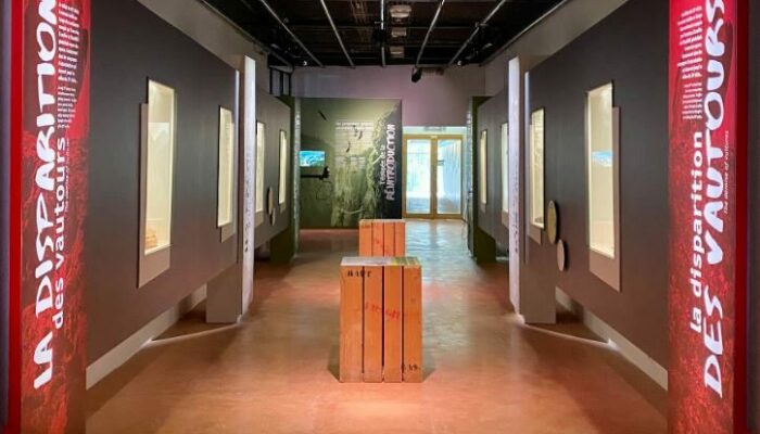 Image 1 : MAISON DES VAUTOURS