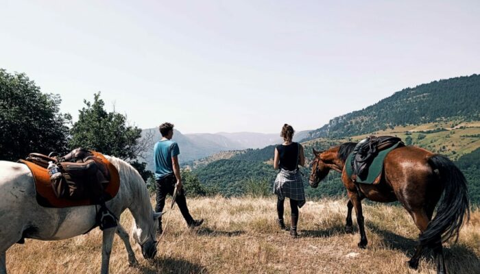 Image 1 : NATUR'EN CEL