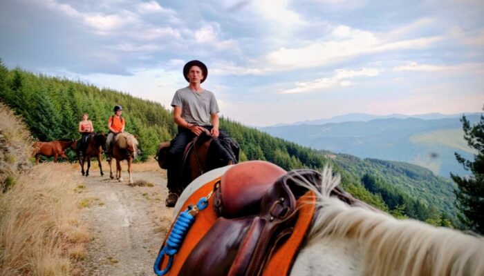 Image 1 : NATUR'EN CEL