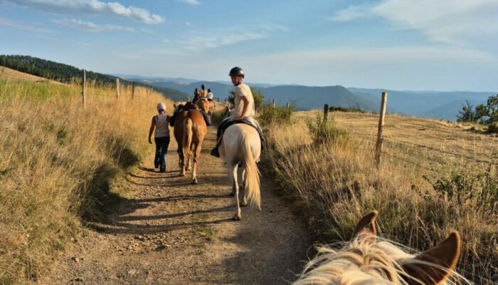 Image 2 : NATUR'EN CEL