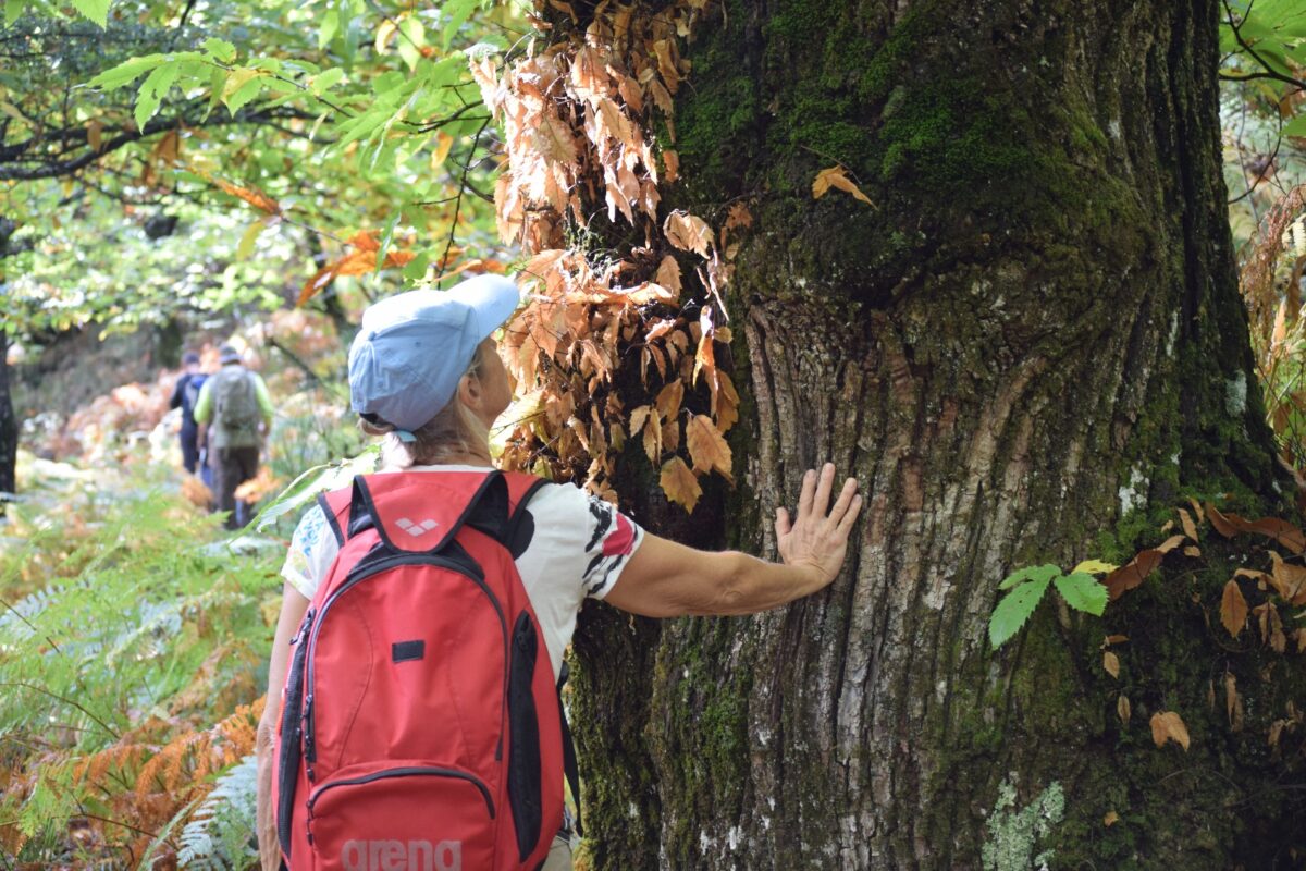 Image 1 : NATURALOHA : DÉCOUVERTE DES CÉVENNES À PIED