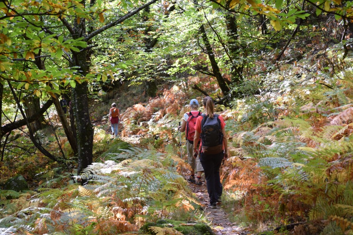 Image 3 : NATURALOHA : DÉCOUVERTE DES CÉVENNES À PIED