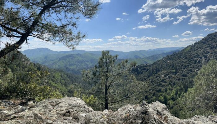 Image 3 : NATURALOHA : DÉCOUVERTE DES CÉVENNES À PIED